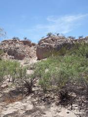 Mesilla Valley Bosque State Park