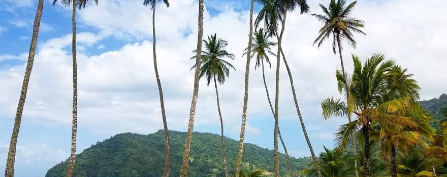 Maracas Beach