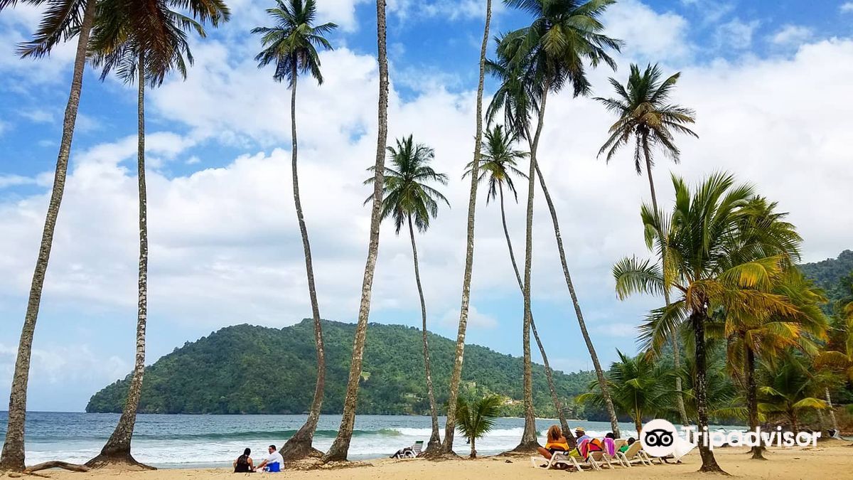 Maracas Beach