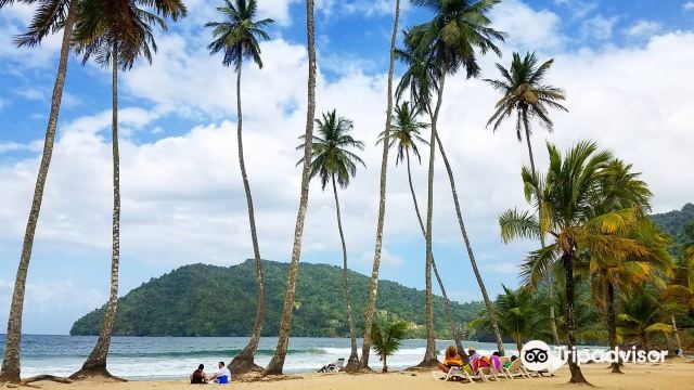 Maracas Beach