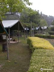 Bharatralia Jungle Camp