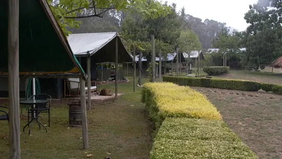 바라트랄리아 정글 캠프