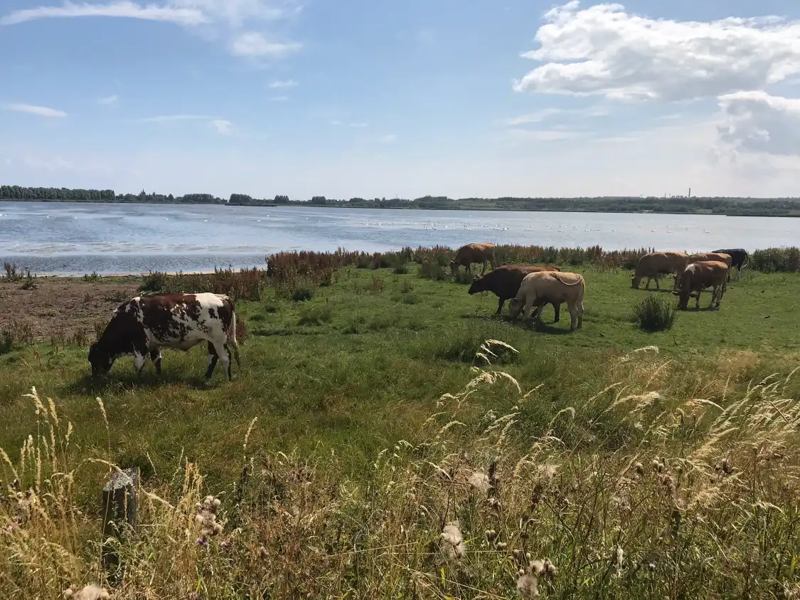 Hotels in der Nähe von Eg? Engs?