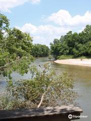 Bogue Chitto State Park