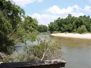 Bogue Chitto State Park