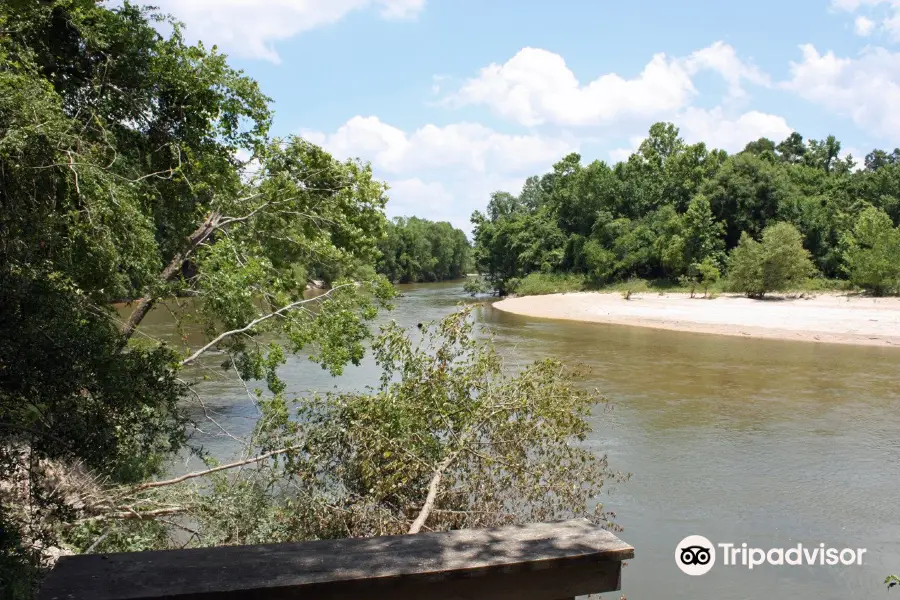 Bogue Chitto State Park