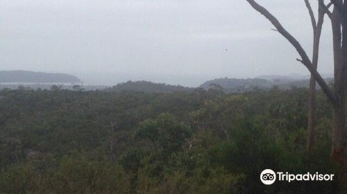 Staples Lookout