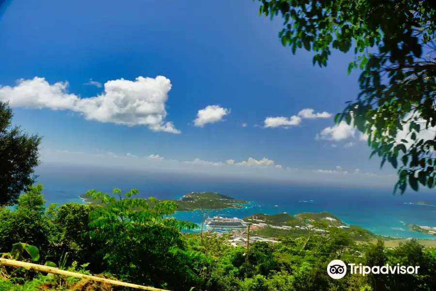 Charlotte Amalie Overlook