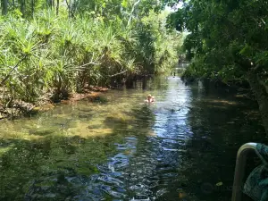 Berry Springs Nature Park