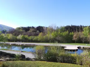 Feng Shui Kurpark Lalling