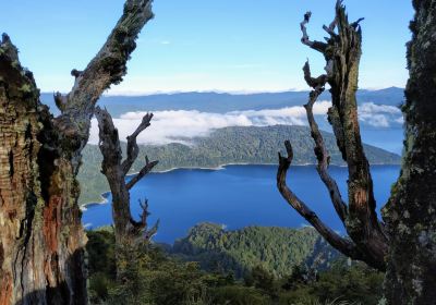 Lake Waikaremoana Great Walk