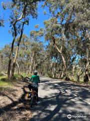 Riesling Trail Bike Hire