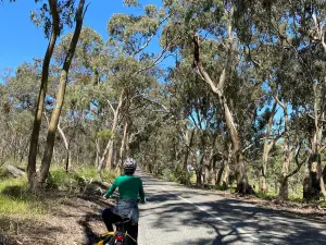 Riesling Trail Bike Hire