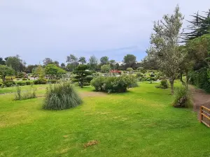 Сад Хапонес Ла-Серена
