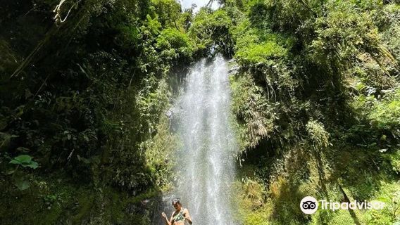 BAJO MONOd CAMPING SITE, BOQUETE