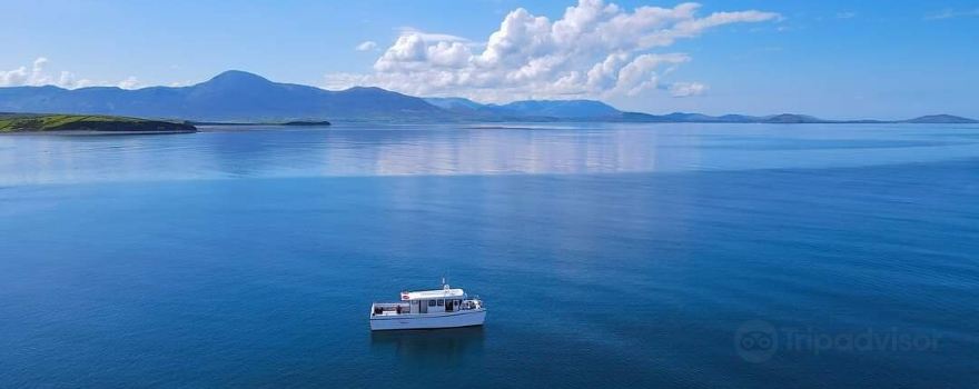 Clewbay Charters