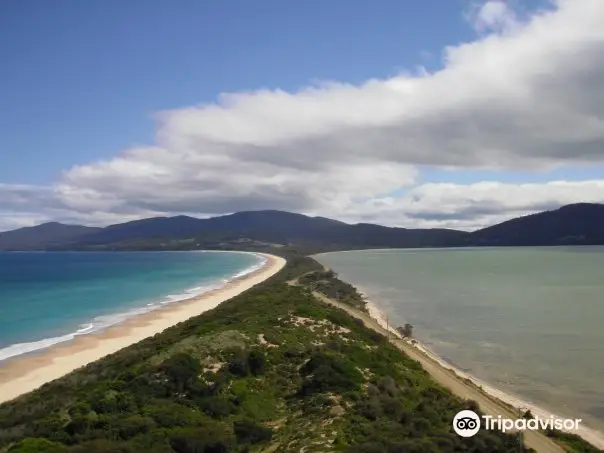 Bruny Wildlife Adventure