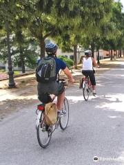 Tuscany Ride a Bike