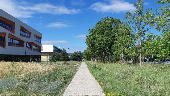 Complexe Sportif des Cezeaux