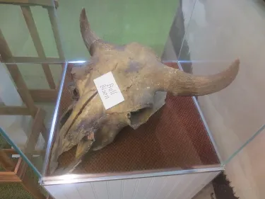 เบอร์ลีย์