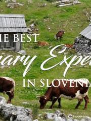 sLOVEnia EAT