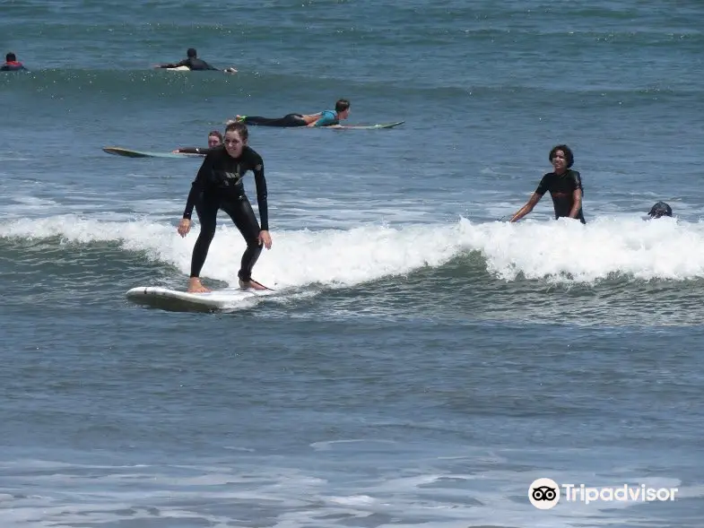 Magic Chile International Surf School