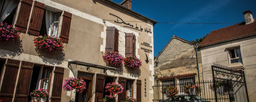 Domaine de la Motte - Chablis Michaut