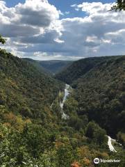 Parc d'État de Colton Point