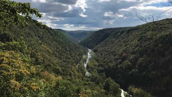 Colton Point State Park