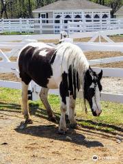 carousel park equestrian center