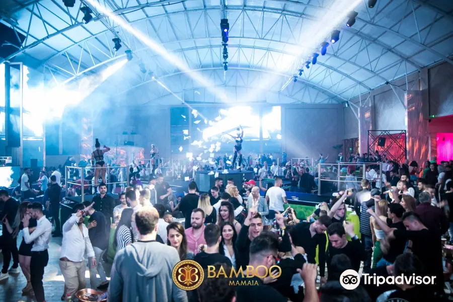 Bamboo Mamaia