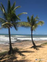 Costa do Sauipe Beach