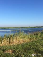 Hackberry Flat WMA