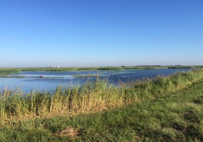 Hackberry Flat WMA