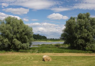 Oder-Neiße-Mündung Ratzdorf