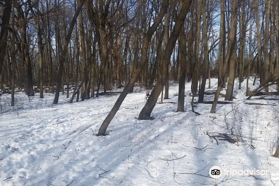 Rice Lake State Park