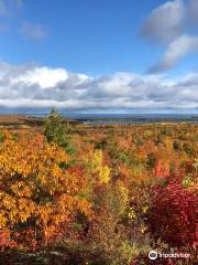 Thomas Rock Scenic Overlook