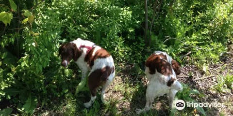 Bremen Grove Dog Park （membership required）