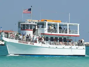 Southern Star Dolphin Cruise