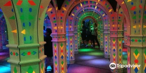 Amazing Mirror Maze