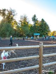 Tails and Trails Dog Park