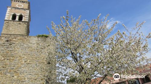 Church of St. Bernardine