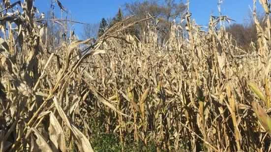 Ellsworth Hill Orchard and Berry Farm