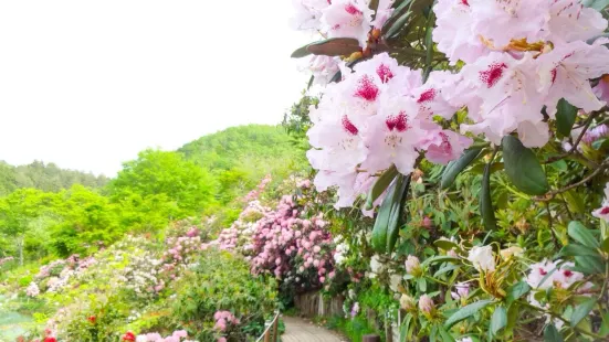 Izumi Botanical garden