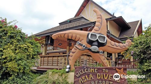 Asia Divers - Diving Center