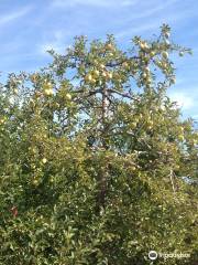 Weed Orchards & Winery