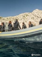 Le Bateau Jaune