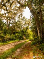 Barr Hammock Preserve