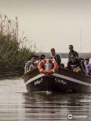 Visit Albufera / Paseos en barca y Rutas en bici