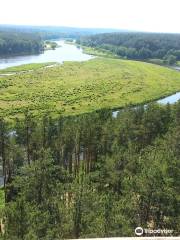 Merkinė observation tower